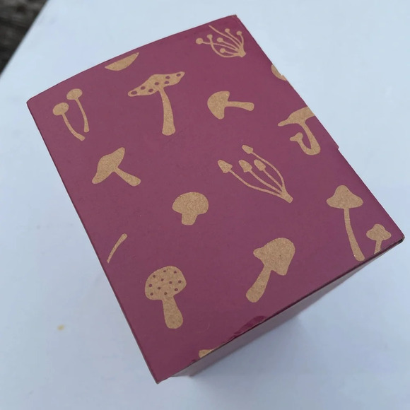 NWT Urban Outfitters Mushroom Salt And Pepper Shaker Set - Picture 11 of 11